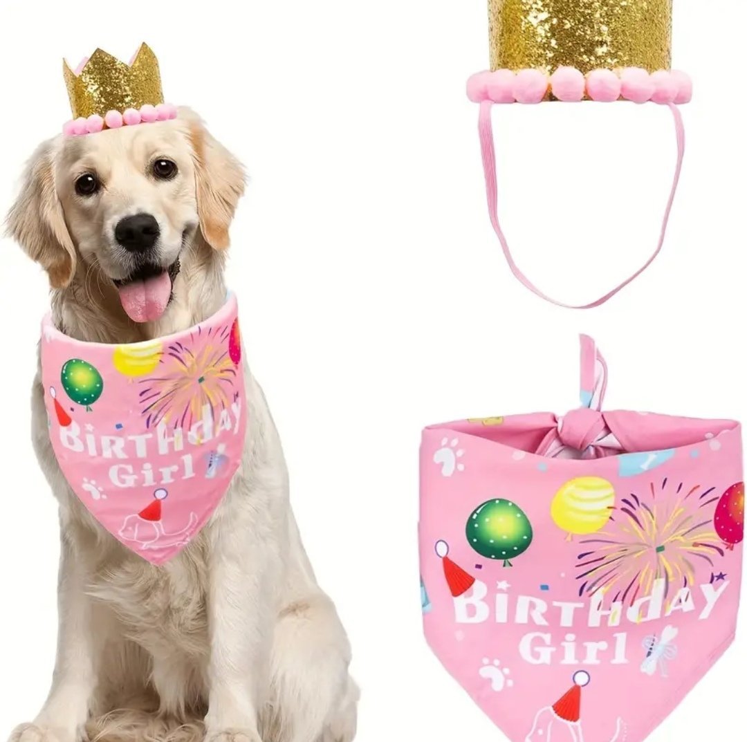Party Supplies - Pink Party Hat and Bandana