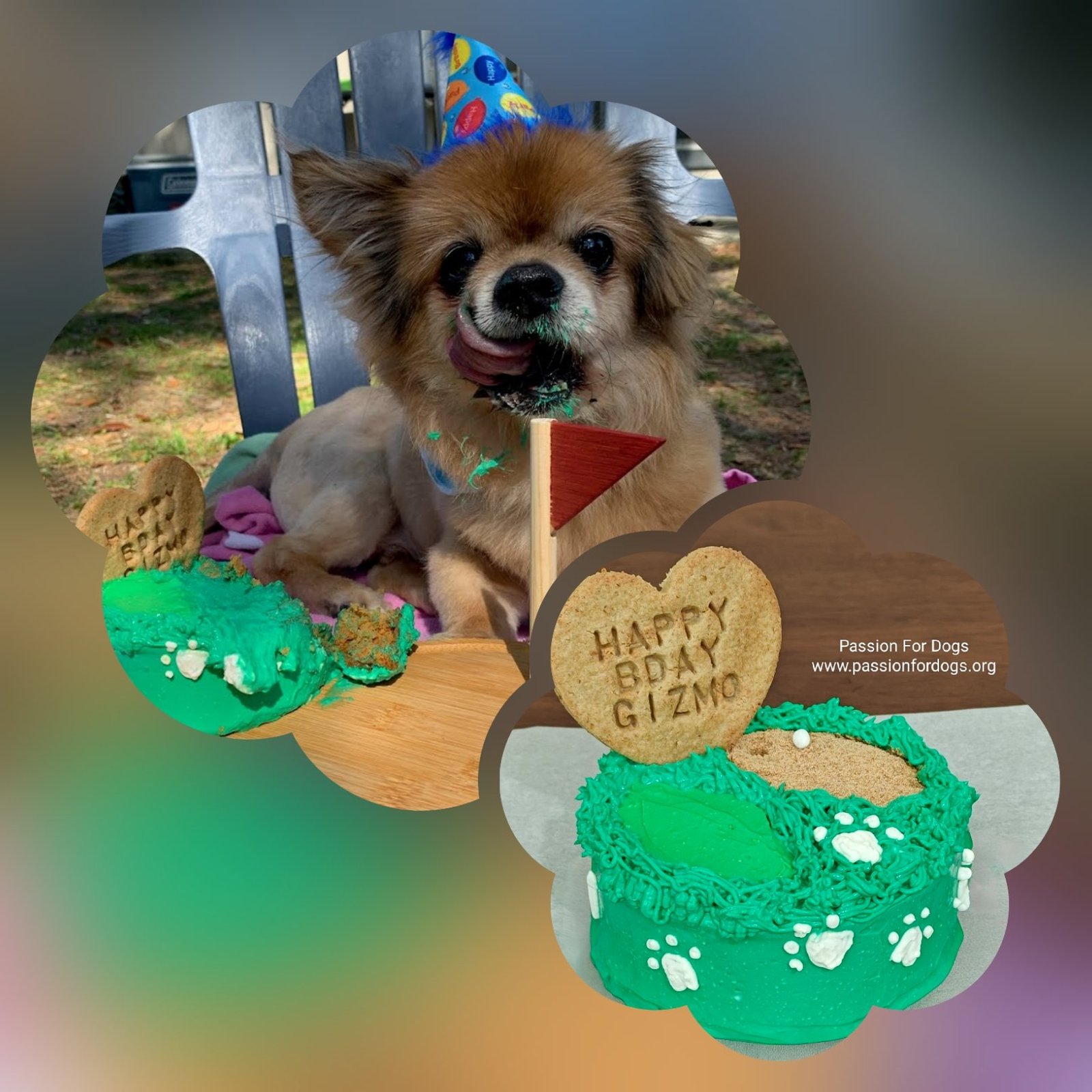 Gourmet Dog Cake - Small - Image 19